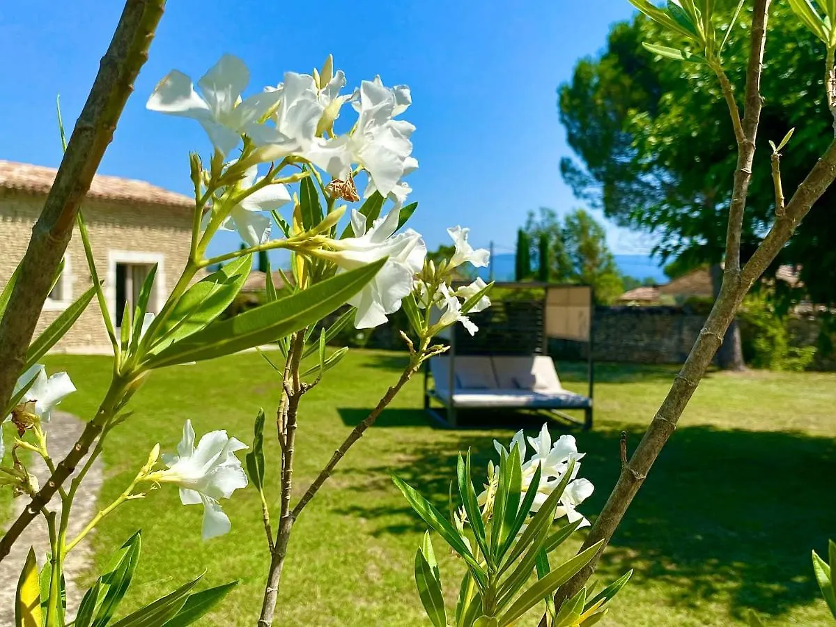 Mas Oréa Sous la glycine Gordes Hébergement de vacances
